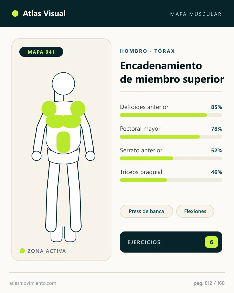 Mapa visual del Atlas: Hombro y tórax en empuje horizontal