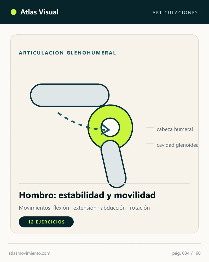 Mapa visual del Atlas: Articulación glenohumeral
