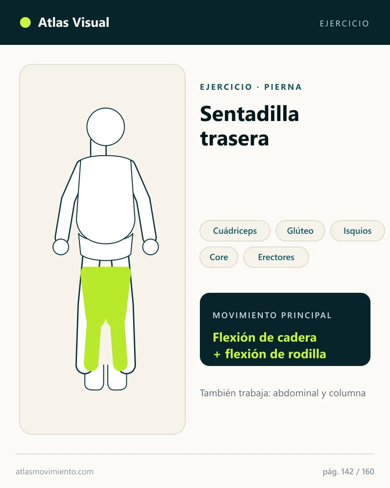 Mapa visual del Atlas: Sentadilla trasera